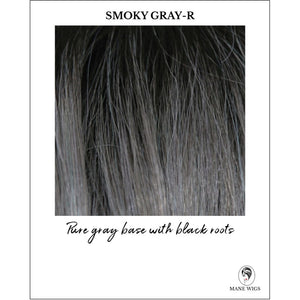 Smoky Gray-R-Pure gray base with black roots