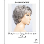 Load image into Gallery viewer, Rica by Ellen Wille in Dark Grey Mix-Dark brown and grey blend with dark shaded roots
