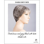 Load image into Gallery viewer, Rimini Mono by Ellen Wille in Dark Grey Mix-Dark brown and grey blend with dark shaded roots
