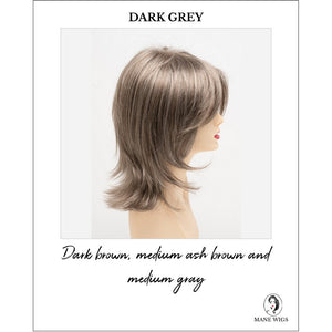 Rose by Envy in Dark Grey-Dark brown, medium ash brown and medium gray