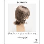 Load image into Gallery viewer, Sam by Envy in Dark Grey-Dark brown, medium ash brown and medium gray
