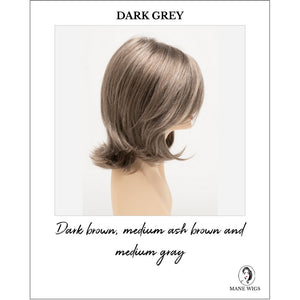 Sam by Envy in Dark Grey-Dark brown, medium ash brown and medium gray