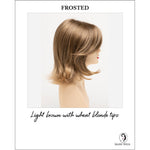 Load image into Gallery viewer, Sam by Envy in Frosted-Light brown with wheat blonde tips
