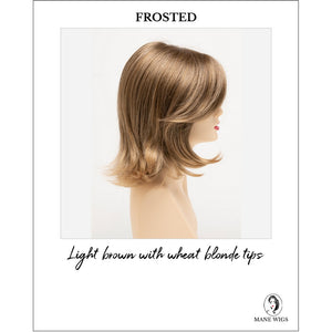 Sam by Envy in Frosted-Light brown with wheat blonde tips