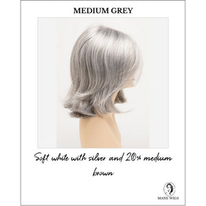 Sam by Envy in Medium Grey-Soft white with silver and 20% medium brown