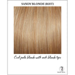 Load image into Gallery viewer, Sandy Blonde (R21T)-Cool pale blonde with ash blonde tips
