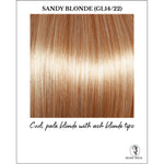 Load image into Gallery viewer, Sandy Blonde (GL14/22)-Cool, pale blonde with ash blonde tips
