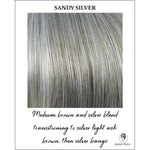 Load image into Gallery viewer, Sandy Silver-Medium brown and silver blend transitioning to silver light ash brown, then silver bangs
