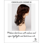 Load image into Gallery viewer, Selena By Envy in Chocolate Cherry-R-Medium dark brown with auburn and copper highlights and dark brown roots
