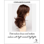 Load image into Gallery viewer, Selena By Envy in Cinnamon Raisin-Dark auburn brown and medium auburn with light caramel highlights
