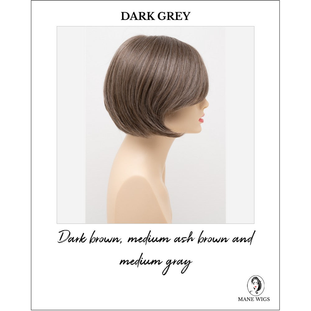 Shyla By Envy in Dark Grey-Dark brown, medium ash brown and medium gray