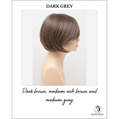 Shyla By Envy in Dark Grey-Dark brown, medium ash brown and medium gray