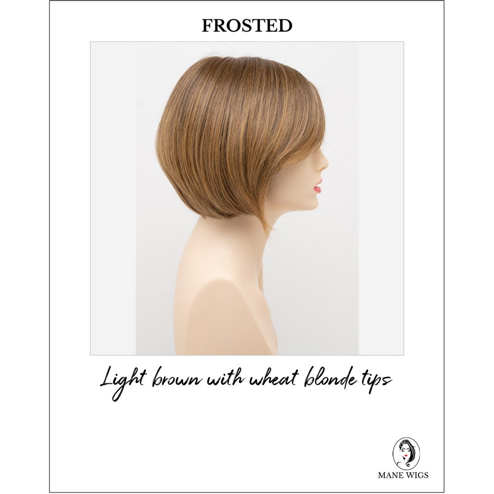 Shyla By Envy in Frosted-Light brown with wheat blonde tips