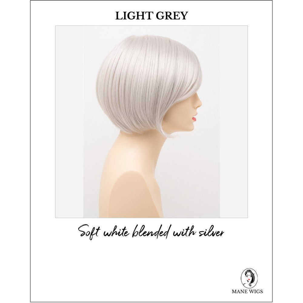 Shyla By Envy in Light Grey-Soft white blended with silver