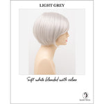 Load image into Gallery viewer, Shyla By Envy in Light Grey-Soft white blended with silver

