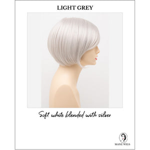 Shyla By Envy in Light Grey-Soft white blended with silver