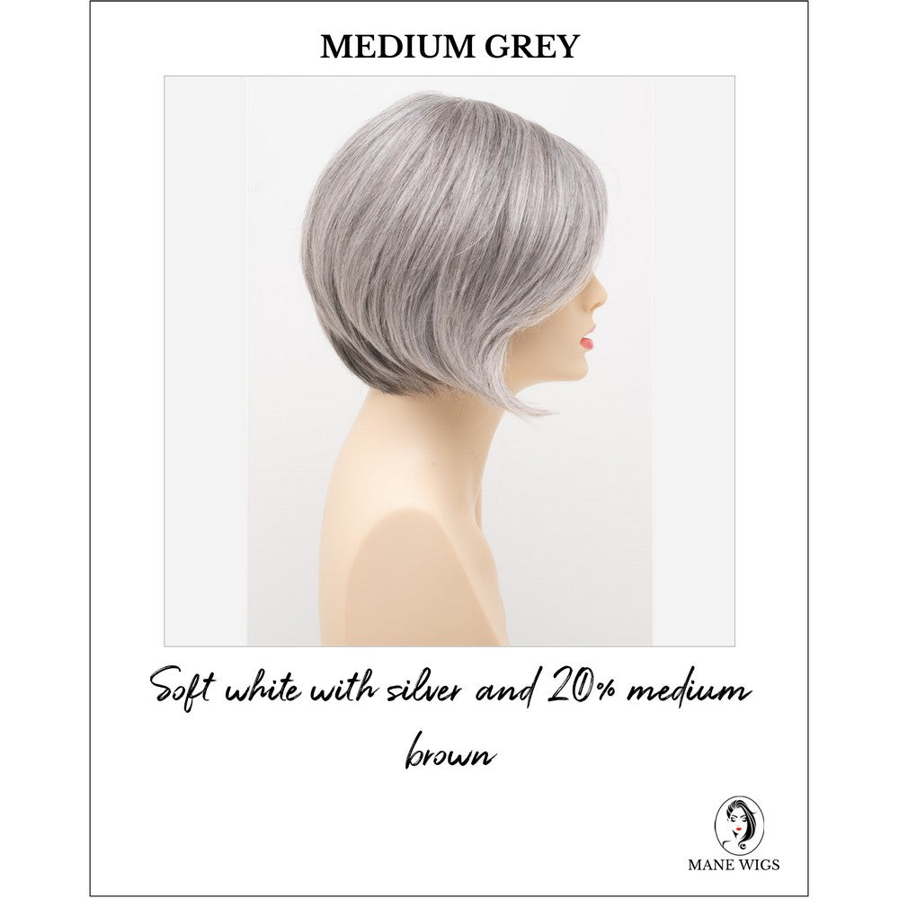Shyla By Envy in Medium Grey-Soft white with silver and 20% medium brown