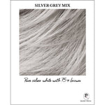 Load image into Gallery viewer, Silver Grey Mix-Pure silver white with 75% brown
