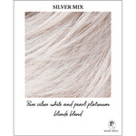 Load image into Gallery viewer, Silver Mix-Pure silver white and pearl platinum blonde blend
