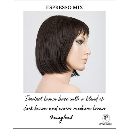 Sing by Ellen Wille in Espresso Mix-Darkest brown base with a blend of dark brown and warm medium brown throughout 