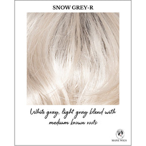 Snow Grey-R-White gray, light gray blend with medium brown roots
