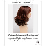 Load image into Gallery viewer, Sonia by Envy in Chocolate Cherry-R-Medium dark brown with auburn and copper highlights and dark brown roots
