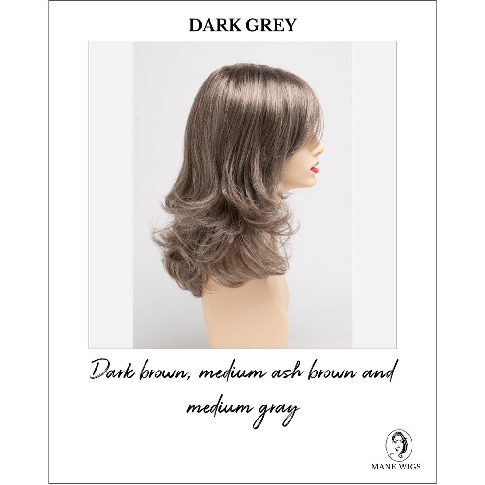 Sonia by Envy in Dark Grey-Dark brown, medium ash brown and medium gray