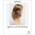 Load image into Gallery viewer, Sonia by Envy in Frosted-Light brown with wheat blonde tips
