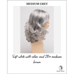 Load image into Gallery viewer, Sonia by Envy in Medium Grey-Soft white with silver and 20% medium brown
