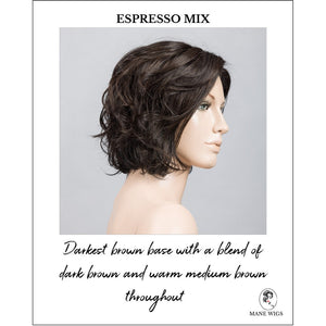 Sound by Ellen Wille in Espresso Mix-Darkest brown base with a blend of dark brown and warm medium brown throughout 