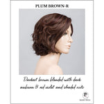 Load image into Gallery viewer, Sound by Ellen Wille in Plum Brown-R-Darkest brown blended with dark auburn &amp; red violet and shaded roots
