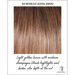 Load image into Gallery viewer, SS Wheat (GF14-22SS)-Light golden brown with medium champagne blonde highlights and darker color depth at the root
