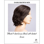 Load image into Gallery viewer, Stella by Ellen Wille in Dark Brown Mix-Black &amp; dark brown blend with darkest brown
