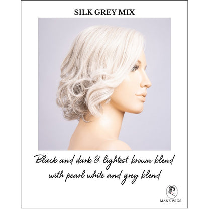 Stella by Ellen Wille in Silk Grey Mix-Black and dark & lightest brown blend with pearl white and grey blend
