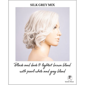 Stella by Ellen Wille in Silk Grey Mix-Black and dark & lightest brown blend with pearl white and grey blend