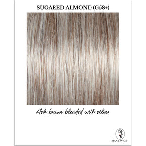 Sugared Almond (G58+)-Ash brown blended with silver