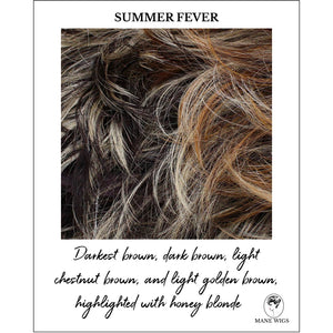 Summer Fever-Darkest brown, dark brown, light chestnut brown, and light golden brown, highlighted with honey blonde