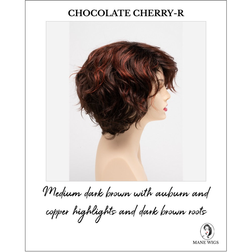 Suzi by Envy in Chocolate Cherry-R-Medium dark brown with auburn and copper highlights and dark brown roots