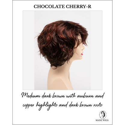 Suzi by Envy in Chocolate Cherry-R-Medium dark brown with auburn and copper highlights and dark brown roots