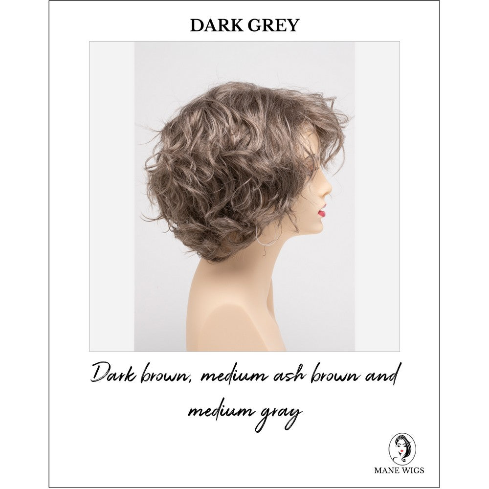Suzi by Envy in Dark Grey-Dark brown, medium ash brown and medium gray