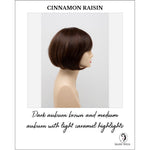 Load image into Gallery viewer, Tandi By Envy in Cinnamon Raisin-Dark auburn brown and medium auburn with light caramel highlights
