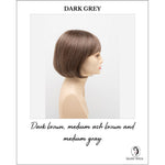 Load image into Gallery viewer, Tandi By Envy in Dark Grey-Dark brown, medium ash brown and medium gray
