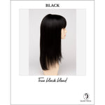 Load image into Gallery viewer, Taryn By Envy in Black-True black blend
