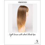 Load image into Gallery viewer, Taryn By Envy in Frosted-Light brown with wheat blonde tips
