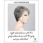 Load image into Gallery viewer, Time Comfort by Ellen Wille in Salt/Pepper Mix-Light natural brown with 75% gray,medium brown with 70% gray and pure white blend
