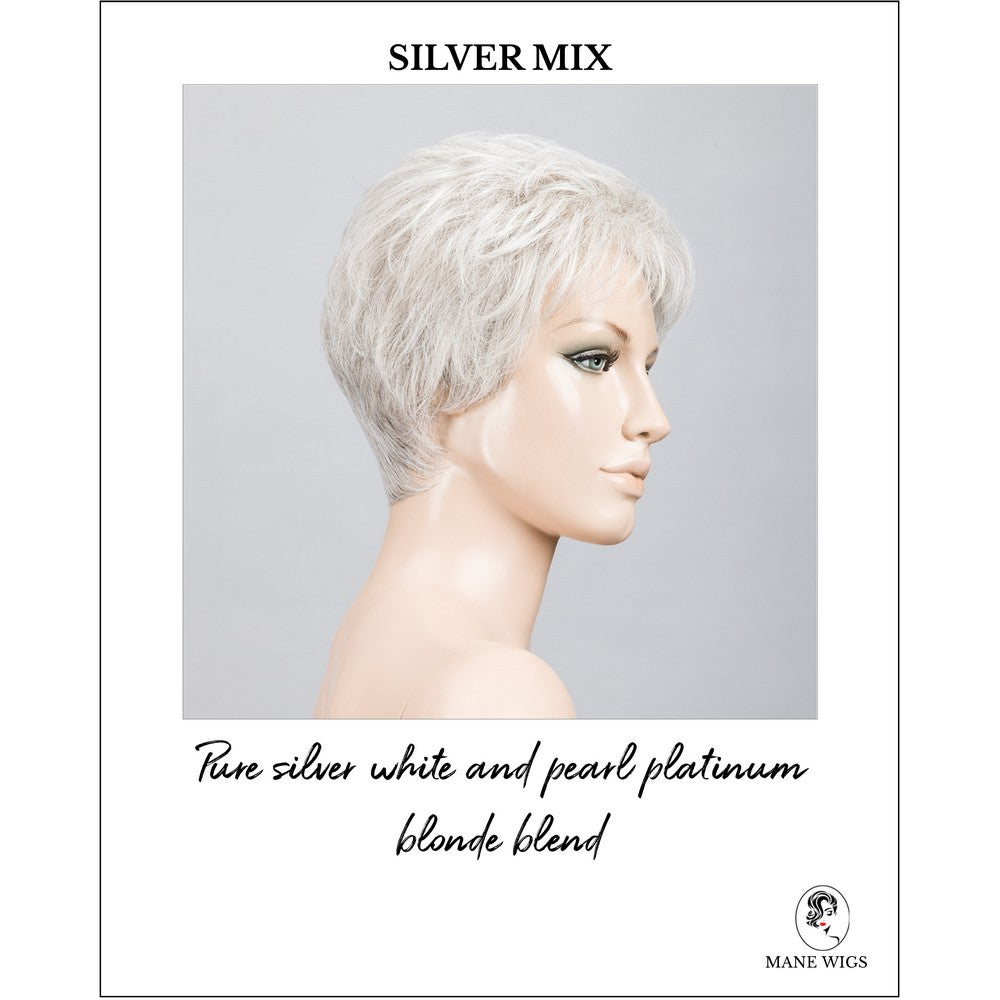 Time Comfort by Ellen Wille in Silver Mix-Pure silver white and pearl platinum blonde blend