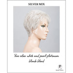 Load image into Gallery viewer, Time Comfort by Ellen Wille in Silver Mix-Pure silver white and pearl platinum blonde blend
