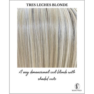 Tres Leches Blonde-A very dimensional cool blonde with shaded roots
