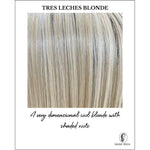 Load image into Gallery viewer, Tres Leches Blonde-A very dimensional cool blonde with shaded roots
