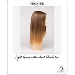 Load image into Gallery viewer, Veronica By Envy in Frosted-Light brown with wheat blonde tips
